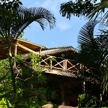 Eden Jungle Lodge Бокас Екстер'єр фото