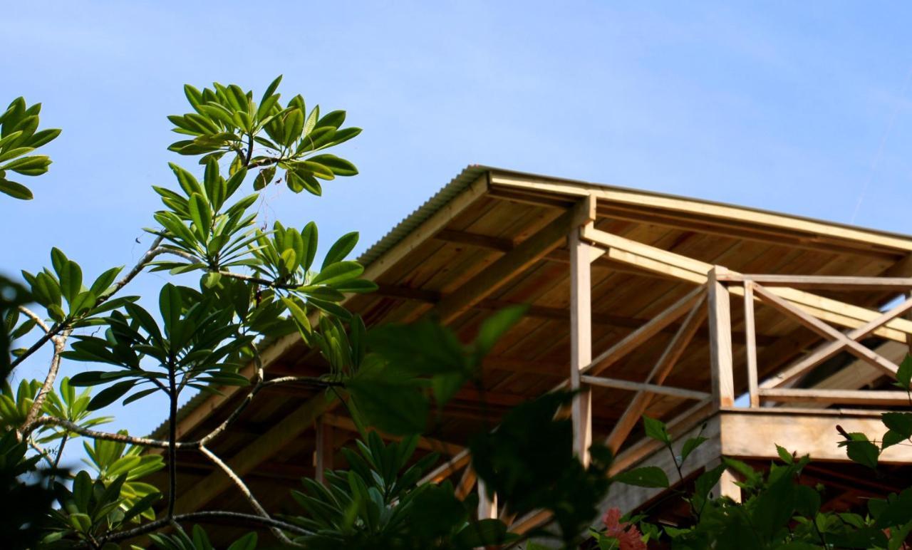 Eden Jungle Lodge Бокас Екстер'єр фото