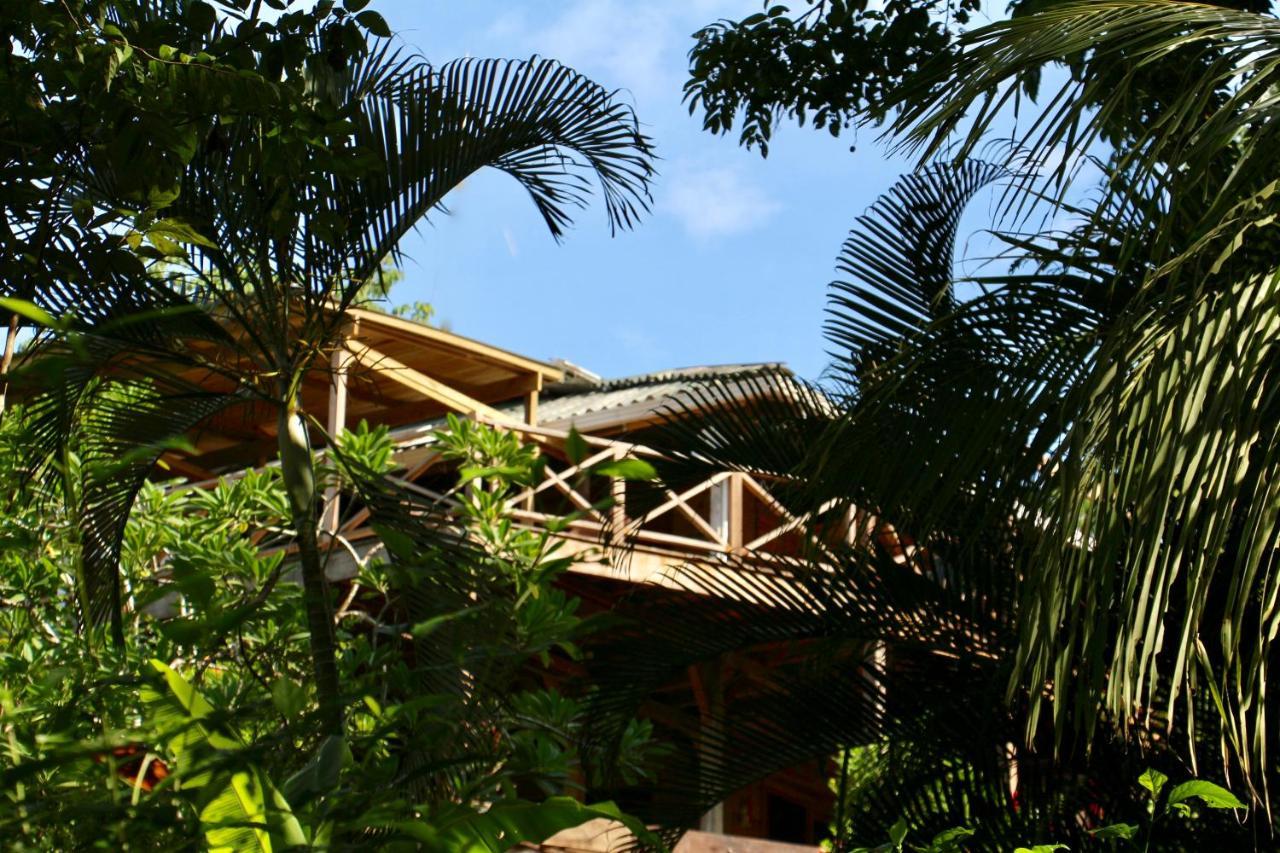 Eden Jungle Lodge Бокас Екстер'єр фото