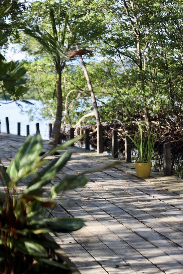 Eden Jungle Lodge Бокас Екстер'єр фото