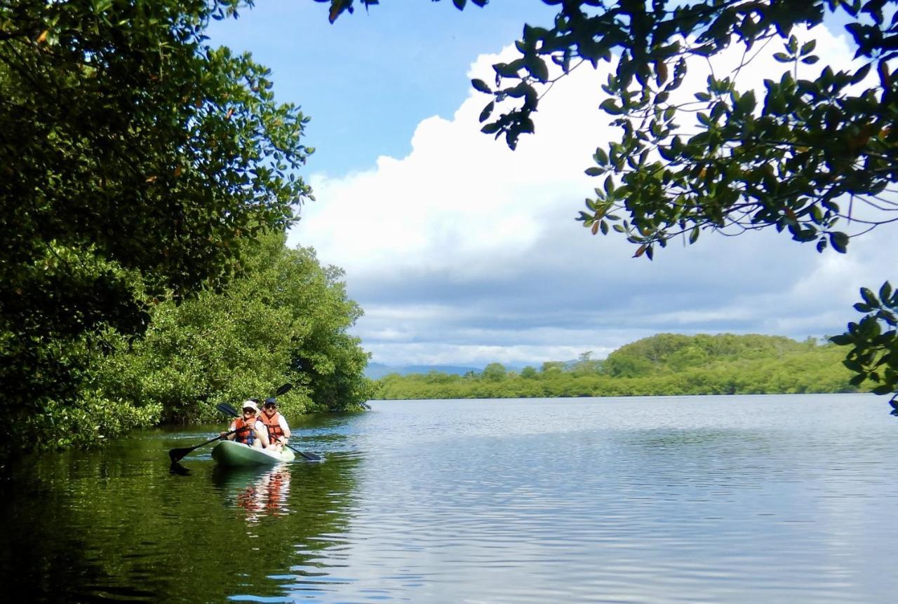 Eden Jungle Lodge Бокас Екстер'єр фото