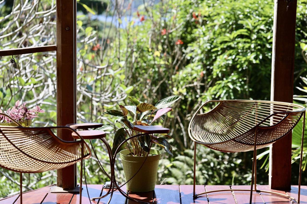 Eden Jungle Lodge Бокас Екстер'єр фото