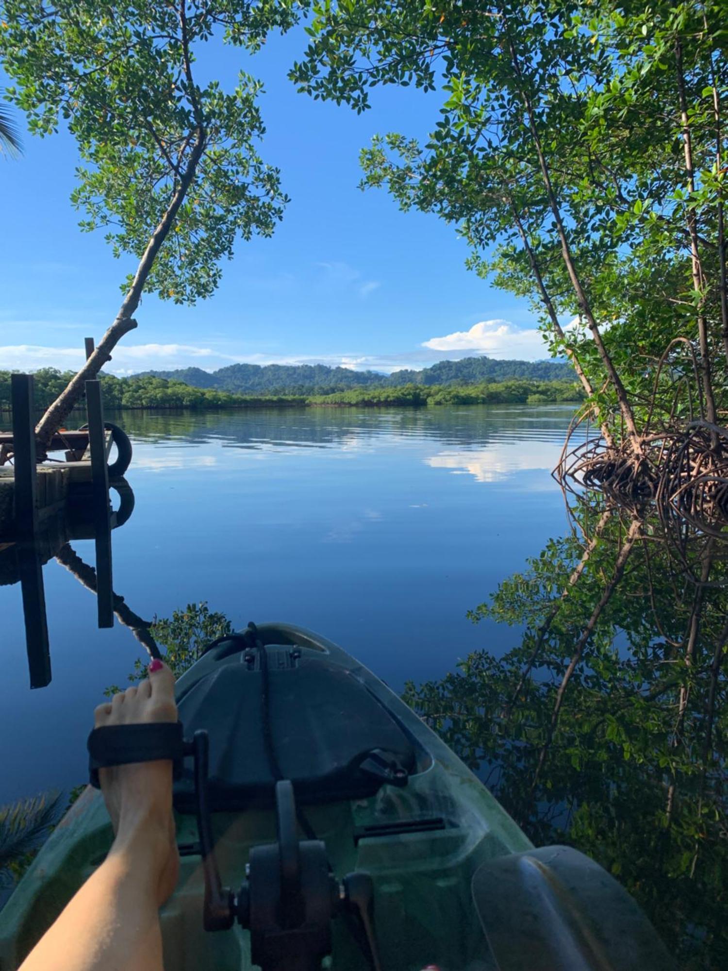 Eden Jungle Lodge Бокас Екстер'єр фото
