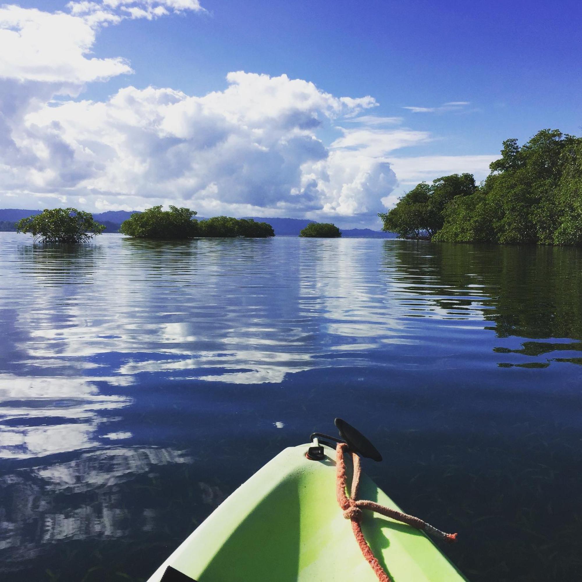 Eden Jungle Lodge Бокас Екстер'єр фото