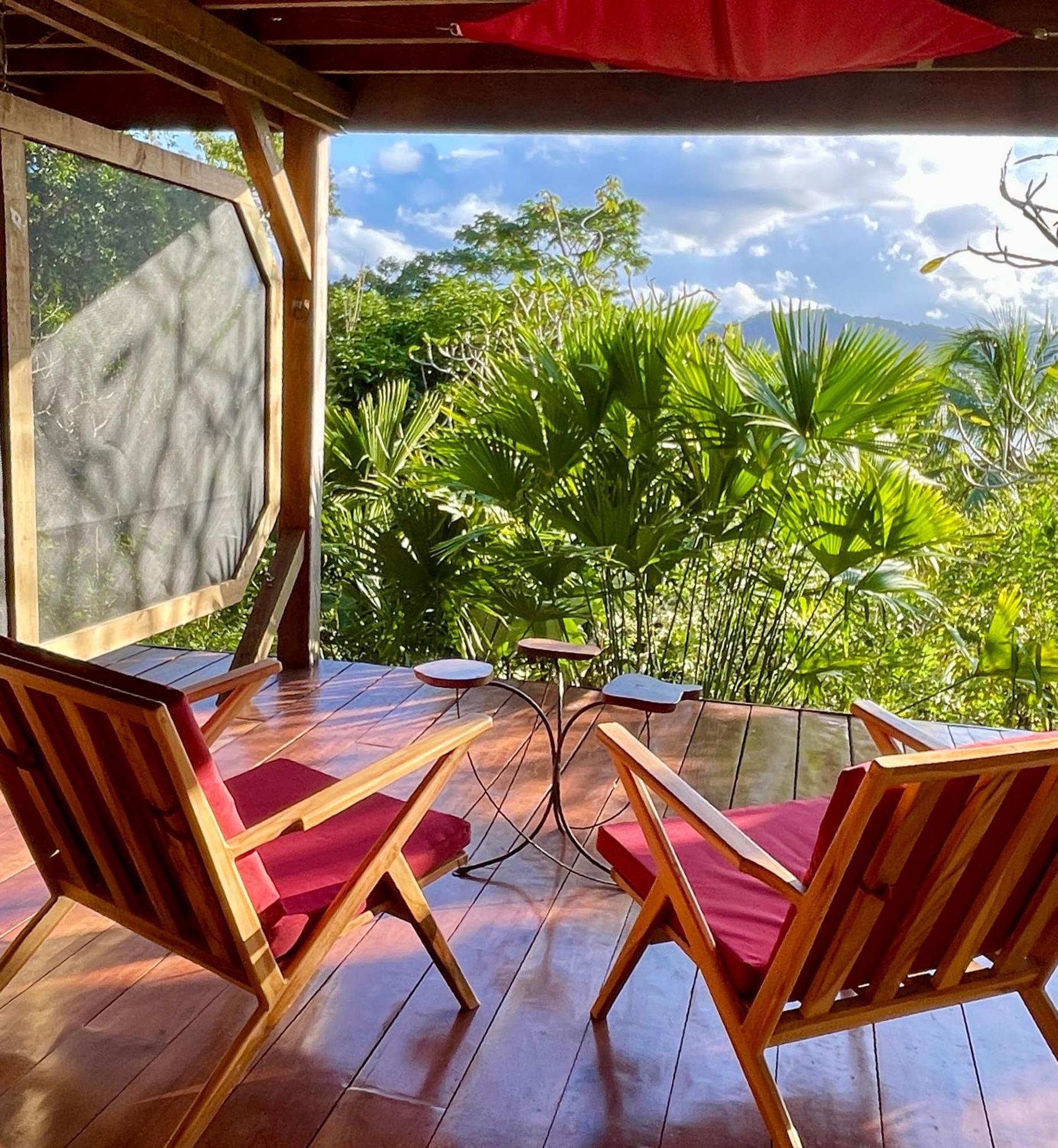 Eden Jungle Lodge Бокас Екстер'єр фото