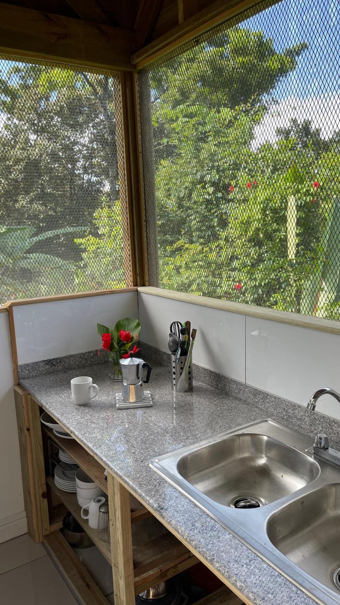 Eden Jungle Lodge Бокас Екстер'єр фото