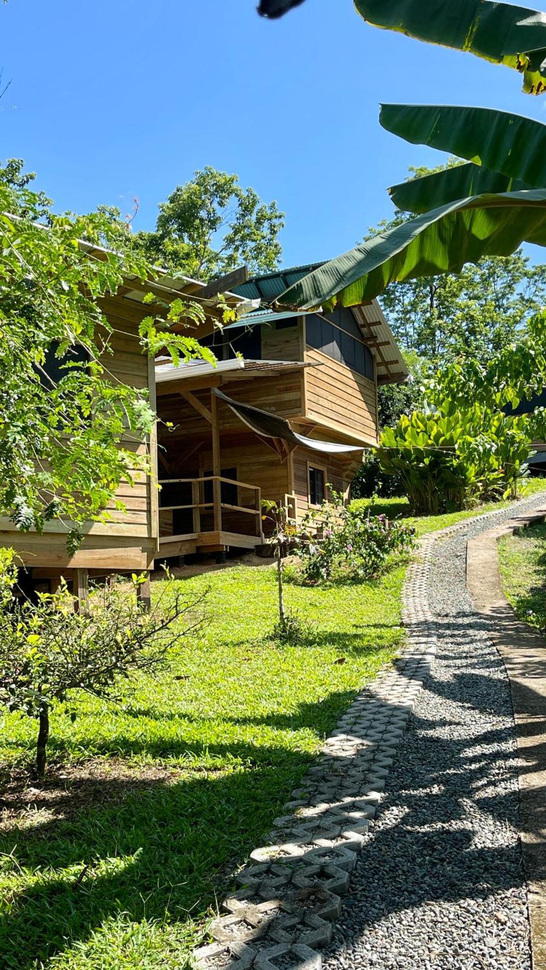 Eden Jungle Lodge Бокас Екстер'єр фото