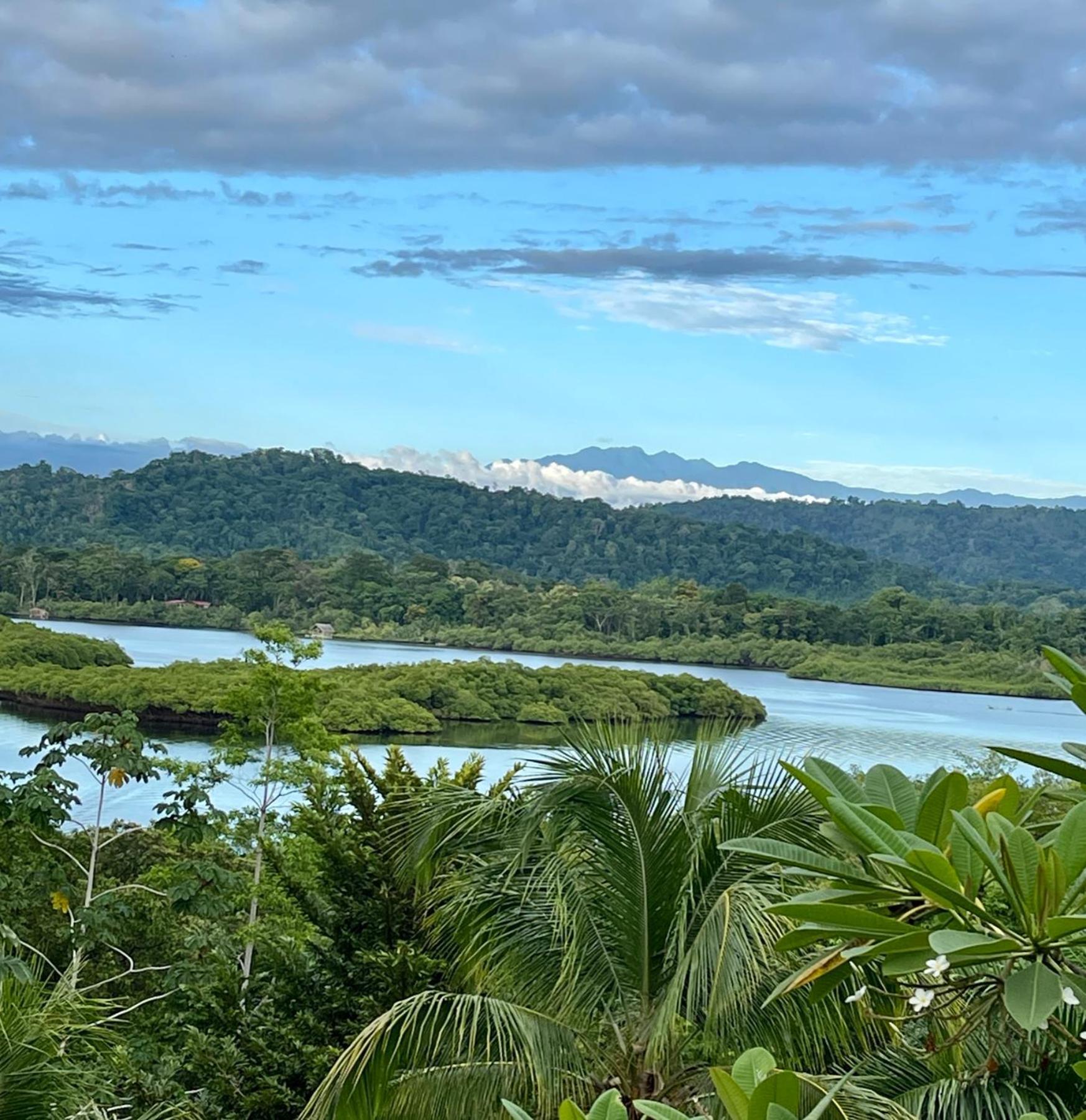 Eden Jungle Lodge Бокас Екстер'єр фото